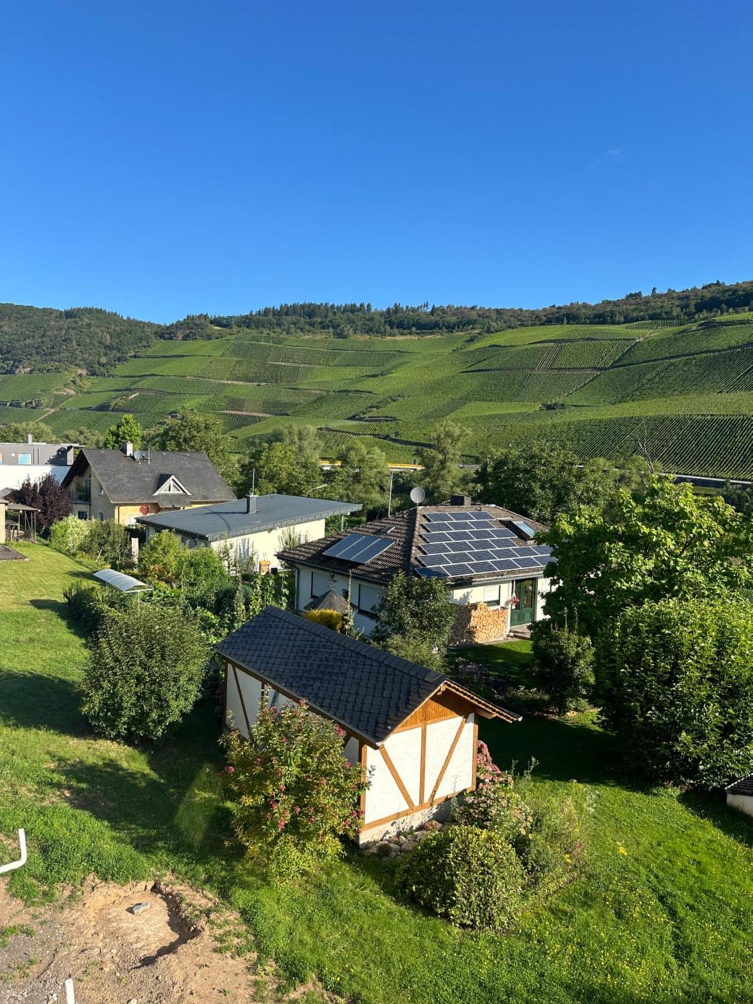Moselappartements By Weingut Marco Adamy Losnich Exterior photo