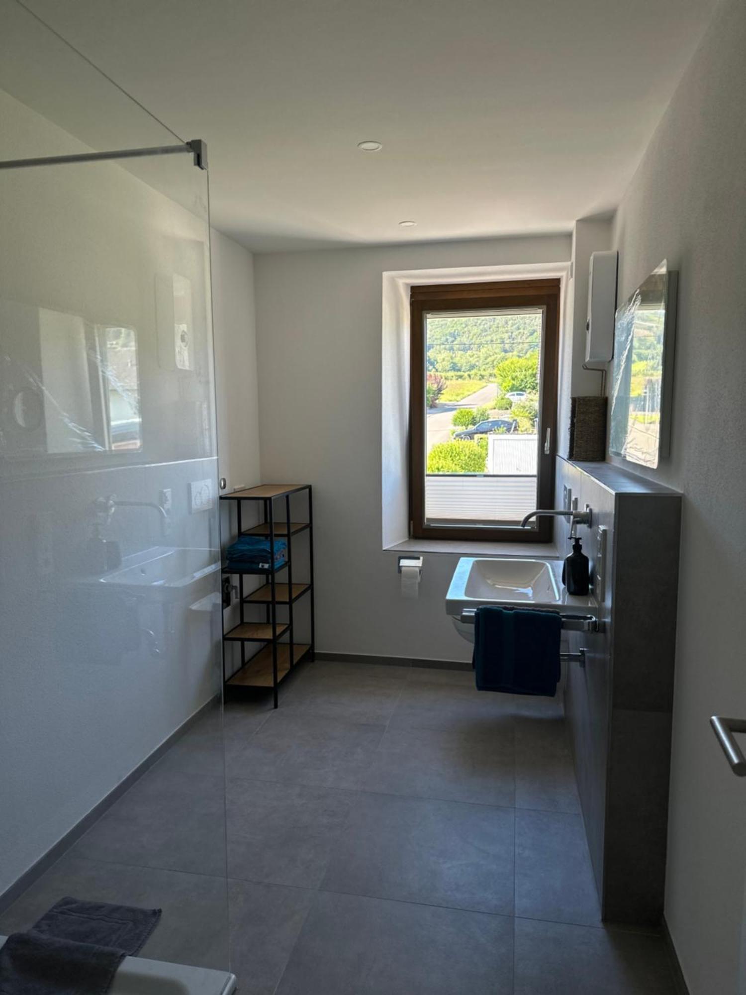 Moselappartements By Weingut Marco Adamy Losnich Exterior photo