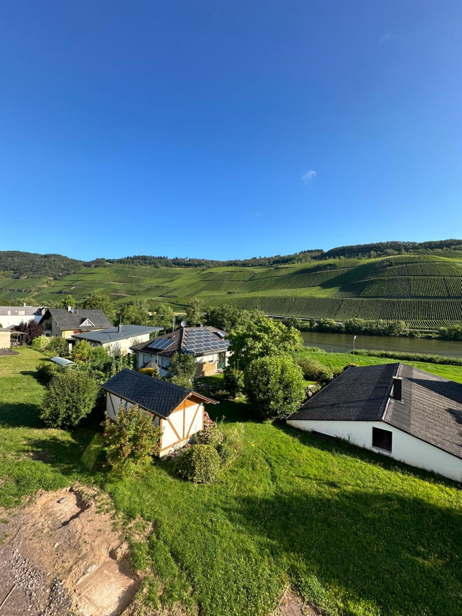 Moselappartements By Weingut Marco Adamy Losnich Exterior photo