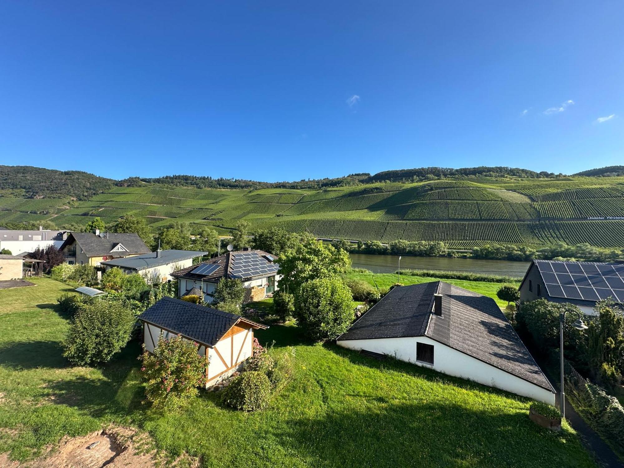 Moselappartements By Weingut Marco Adamy Losnich Exterior photo