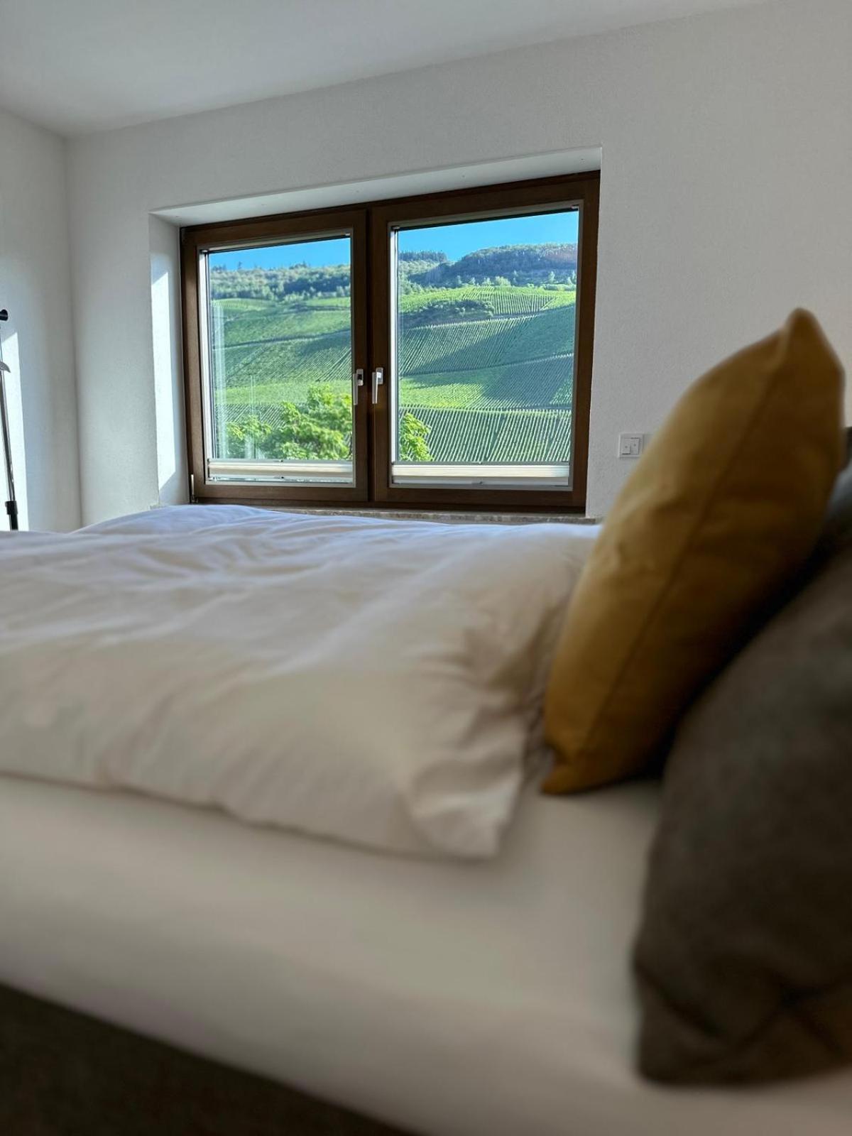 Moselappartements By Weingut Marco Adamy Losnich Exterior photo