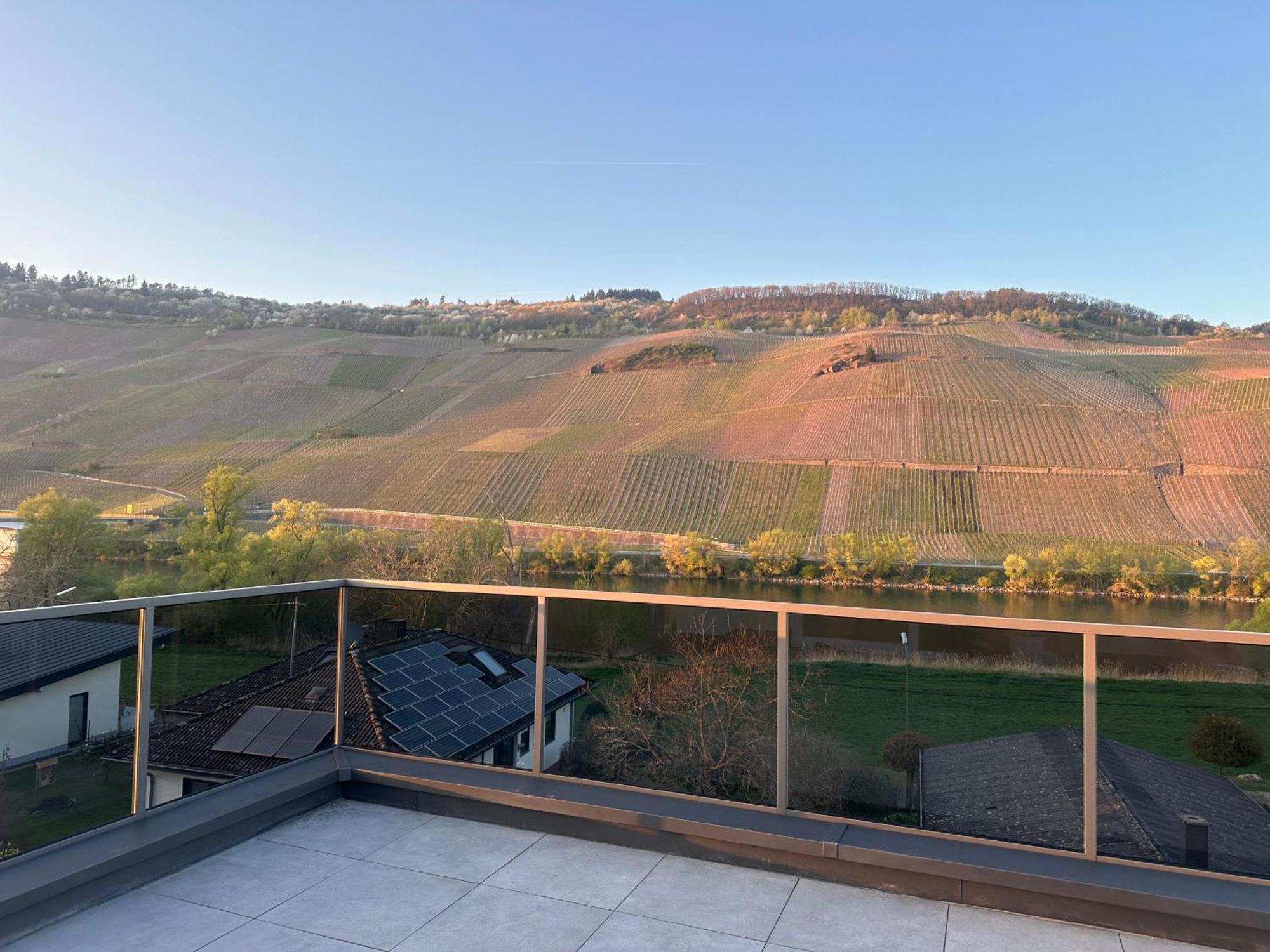 Moselappartements By Weingut Marco Adamy Losnich Exterior photo