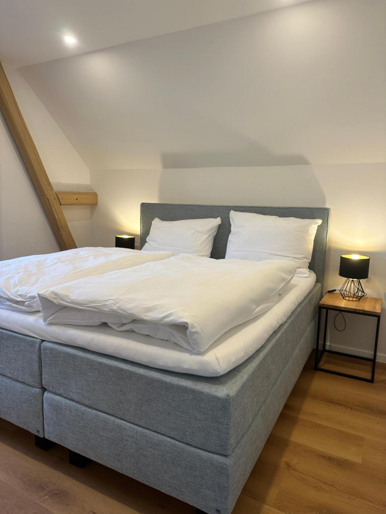 Moselappartements By Weingut Marco Adamy Losnich Exterior photo