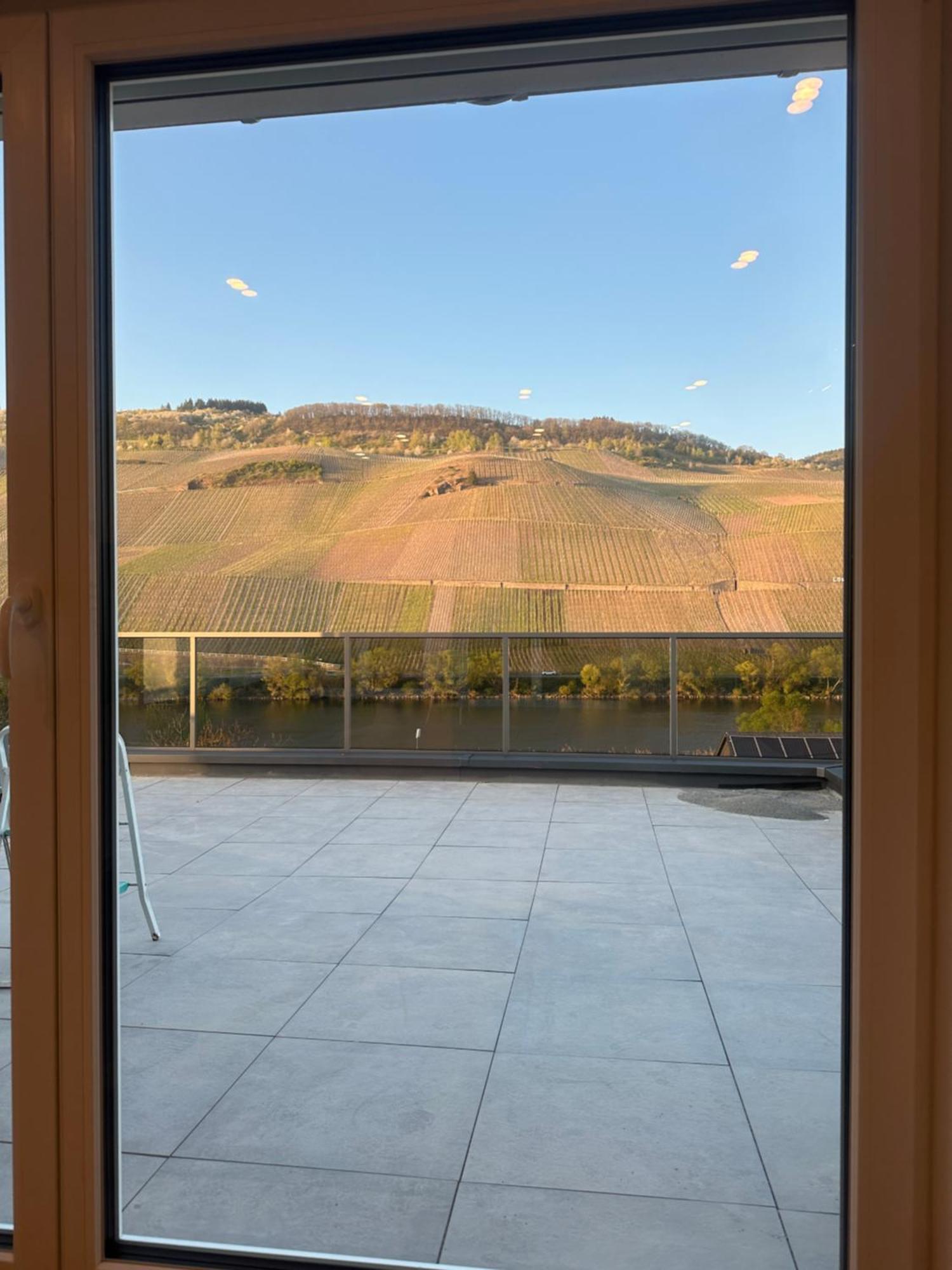 Moselappartements By Weingut Marco Adamy Losnich Exterior photo
