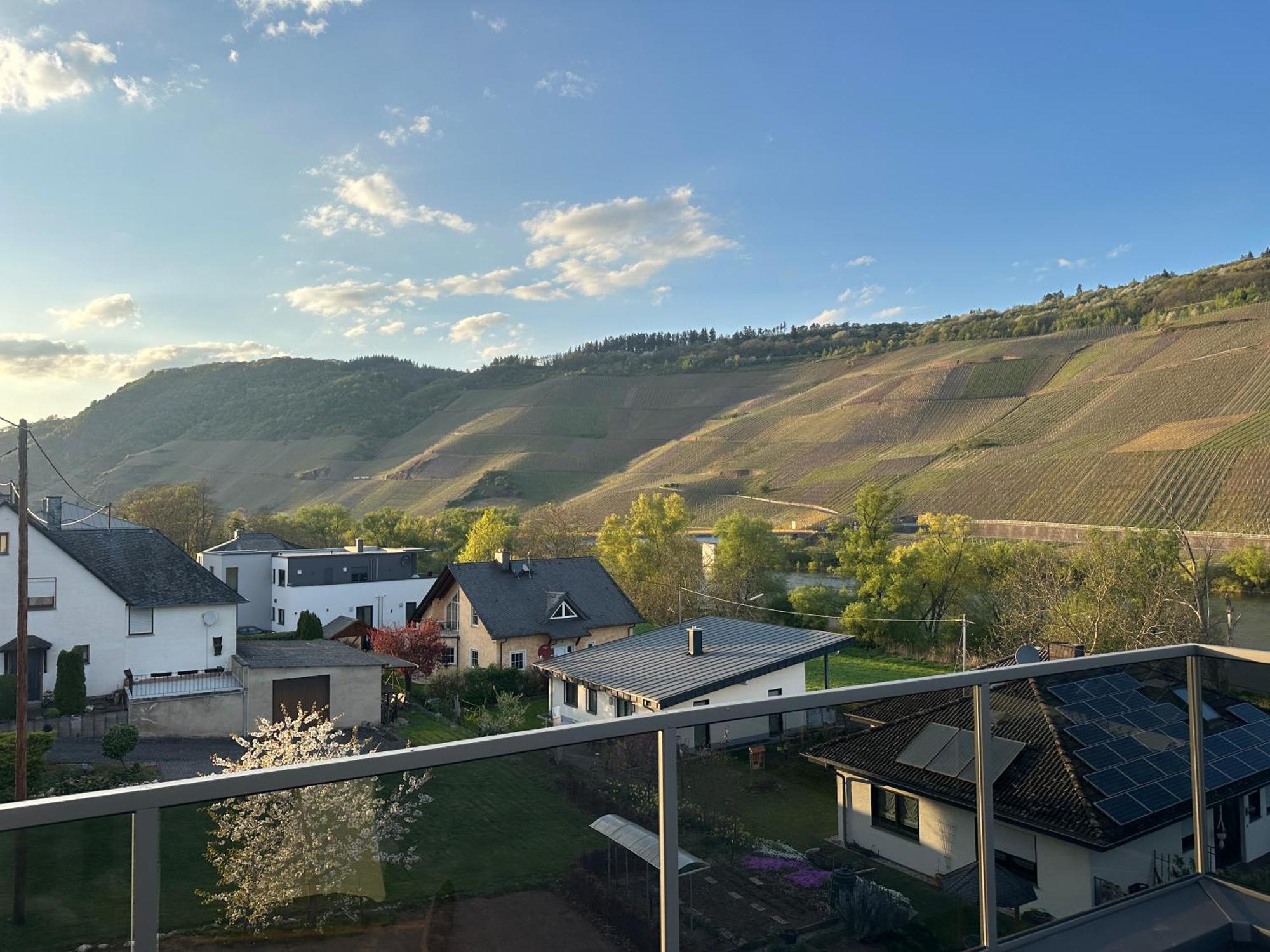 Moselappartements By Weingut Marco Adamy Losnich Exterior photo